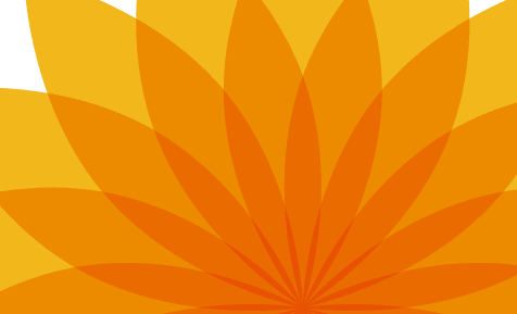 Formerstellungswerkzeug, Am Pixelraster